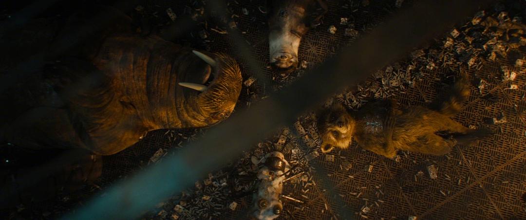 银河护卫队3Guardians of the Galaxy Vol. 3(2023)插图1%4K电影下载_3D影视资源_杜比视界迅雷下载