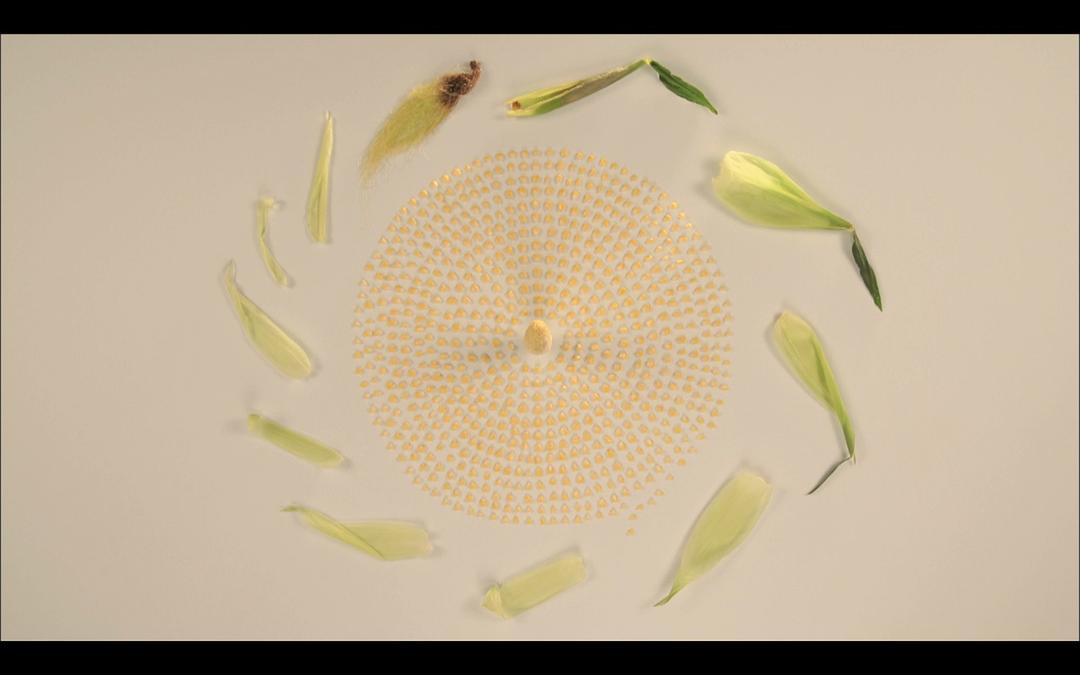 啊！设计A ！ She Ji(2011)插图2%4K电影下载_3D影视资源_杜比视界迅雷下载