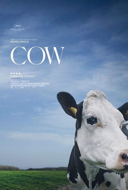 奶牛Cow(2021)插图%4K电影下载_3D影视资源_杜比视界迅雷下载