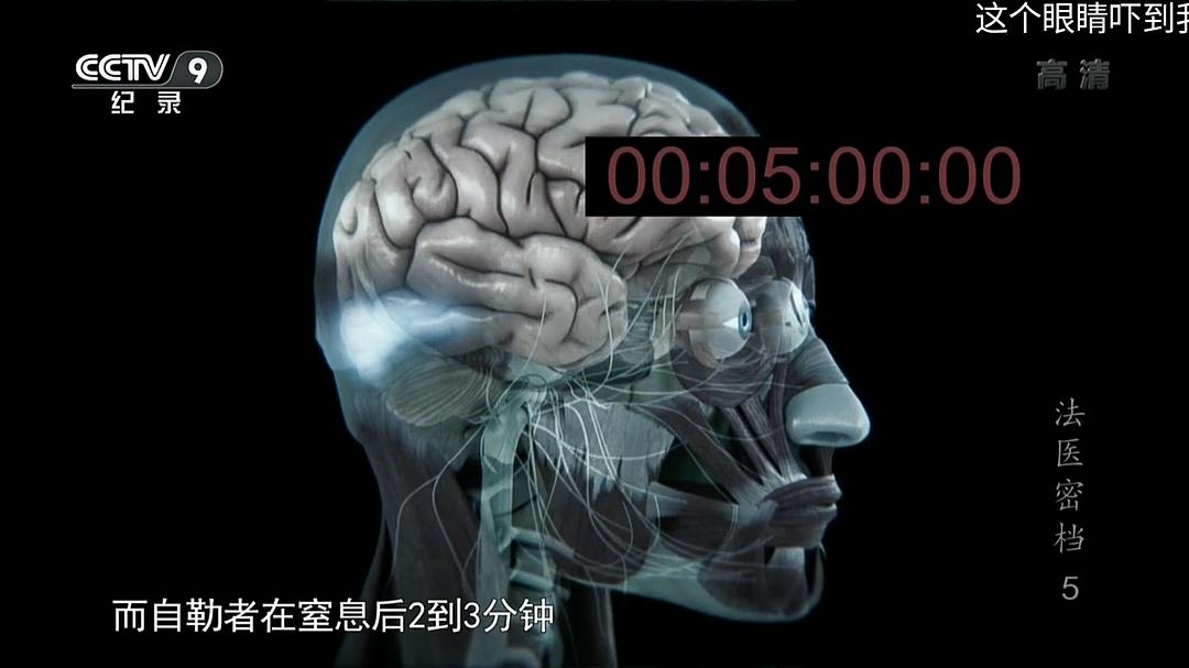 法医密档Forensic Files(2016)插图1%4K电影下载_3D影视资源_杜比视界迅雷下载