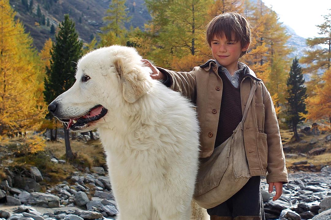 灵犬雪莉Belle et Sébastien(2013)插图2%4K电影下载_3D影视资源_杜比视界迅雷下载