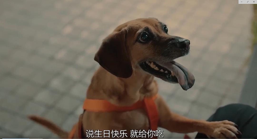 大饿Heavy Craving(2019)插图2%4K电影下载_3D影视资源_杜比视界迅雷下载