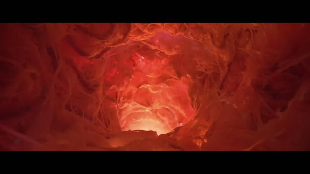 吵闹鬼Poltergeist(1982)插图1%4K电影下载_3D影视资源_杜比视界迅雷下载