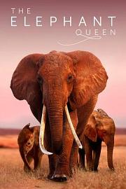 大象女王The Elephant Queen(2019)插图%4K电影下载_3D影视资源_杜比视界迅雷下载
