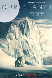 我们的星球：镜头背后Our Planet: Behind the Scenes(2019)插图%4K电影下载_3D影视资源_杜比视界迅雷下载