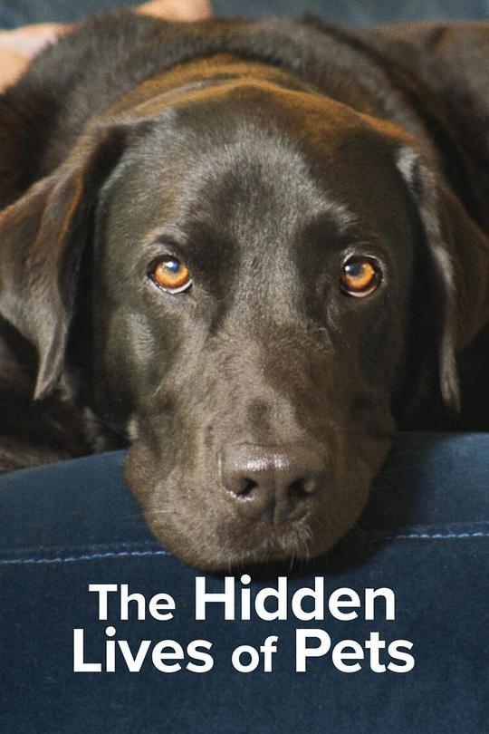 宠物的秘密生活The Hidden Lives of Pets(2022)插图%4K电影下载_3D影视资源_杜比视界迅雷下载
