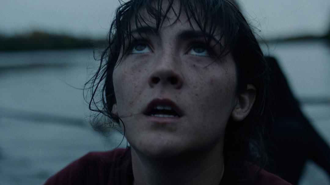 新手The Novice(2021)插图1%4K电影下载_3D影视资源_杜比视界迅雷下载
