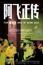 阿飞正传Ah fei zing zyun(1990)插图%4K电影下载_3D影视资源_杜比视界迅雷下载