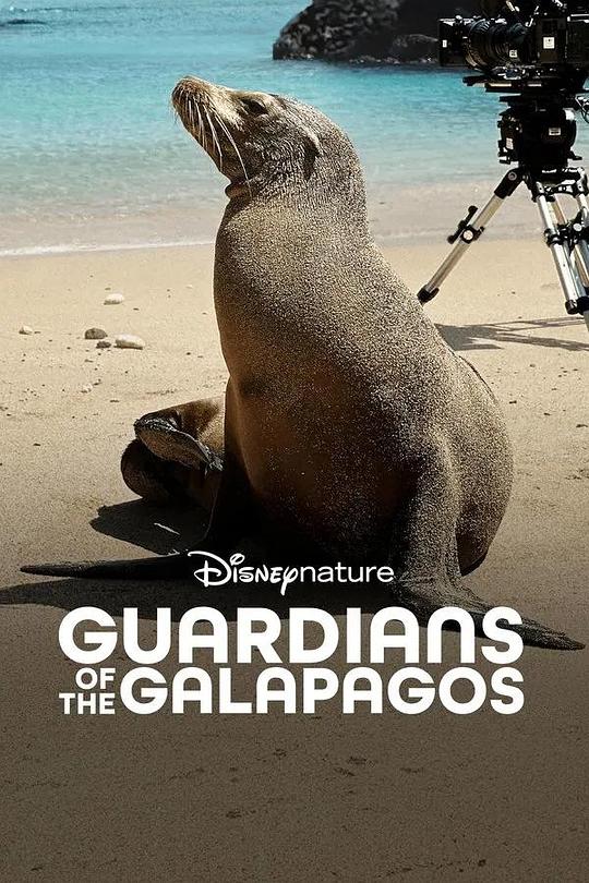 加拉帕戈斯群岛的守护者Guardians of the Galapagos(2025)插图%4K电影下载_3D影视资源_杜比视界迅雷下载
