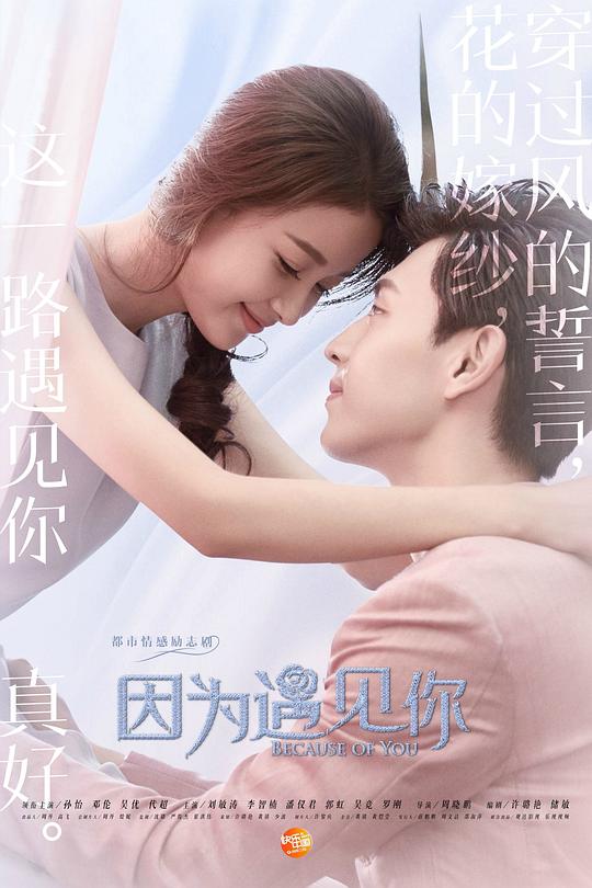 因为遇见你Because of Meeting You(2017)插图%4K电影下载_3D影视资源_杜比视界迅雷下载