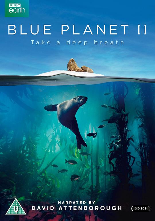蓝色星球The Blue Planet(2001 – 2017)插图%4K电影下载_3D影视资源_杜比视界迅雷下载