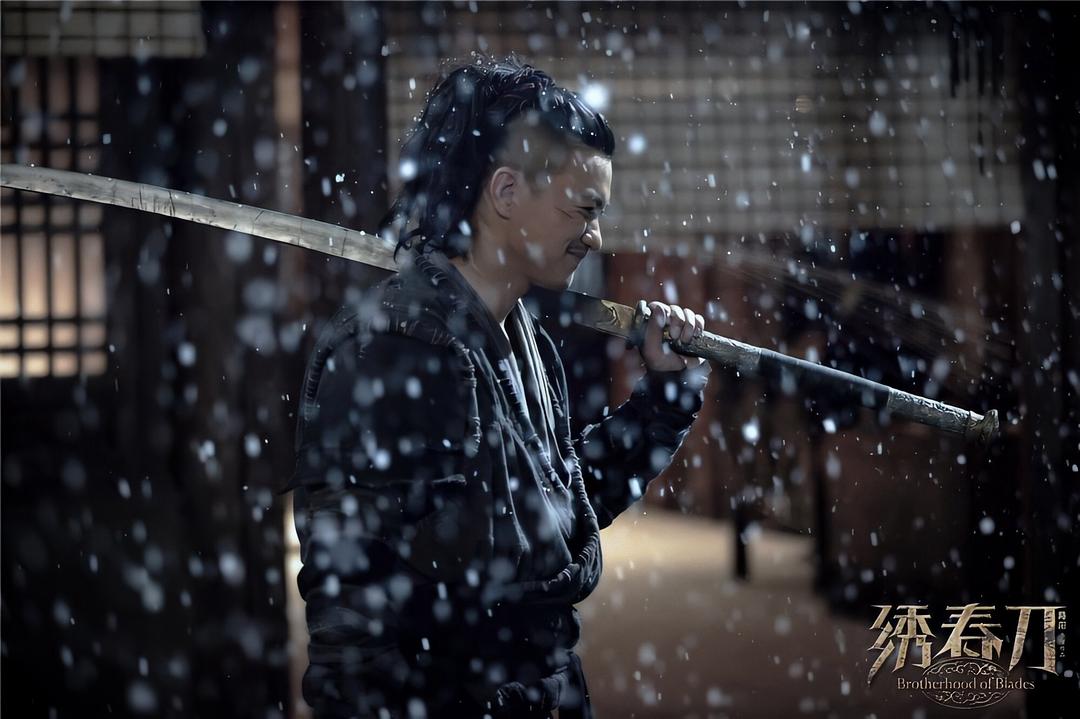 绣春刀Brotherhood of Blades(2014)插图1%4K电影下载_3D影视资源_杜比视界迅雷下载