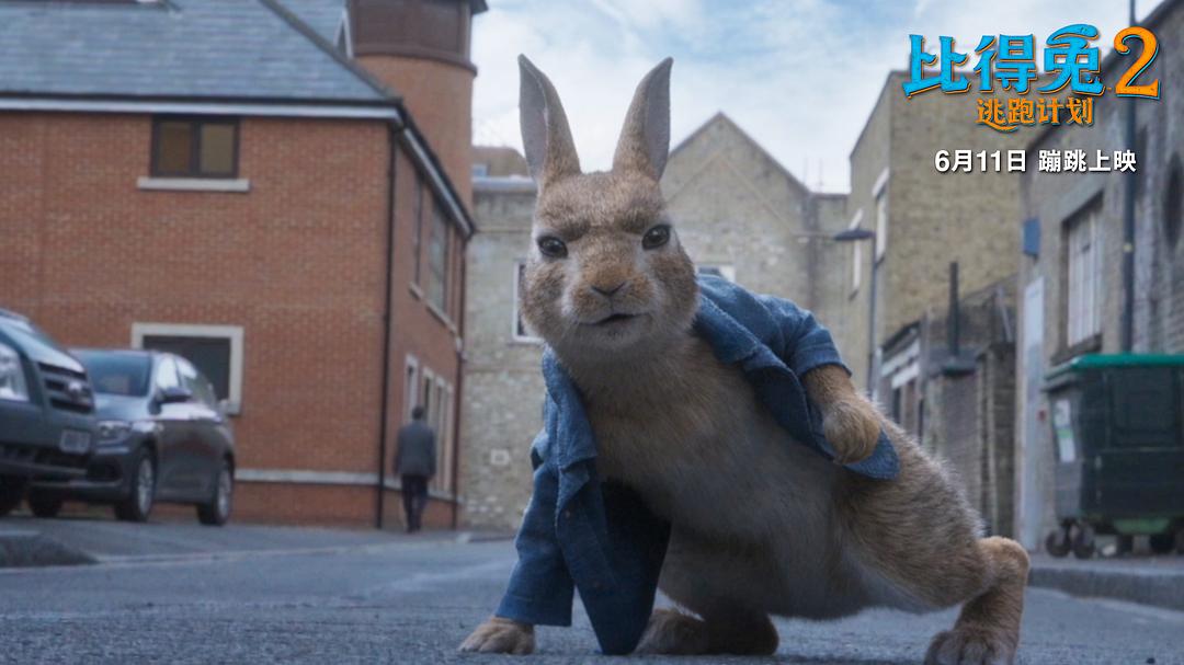 比得兔2：逃跑计划Peter Rabbit 2: The Runaway(2021)插图2%4K电影下载_3D影视资源_杜比视界迅雷下载