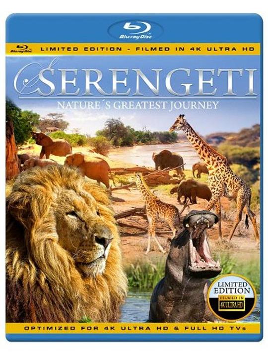 塞伦盖蒂：自然界最壮观的旅程Serengeti: Nature’s Greatest Journey(2015)插图%4K电影下载_3D影视资源_杜比视界迅雷下载
