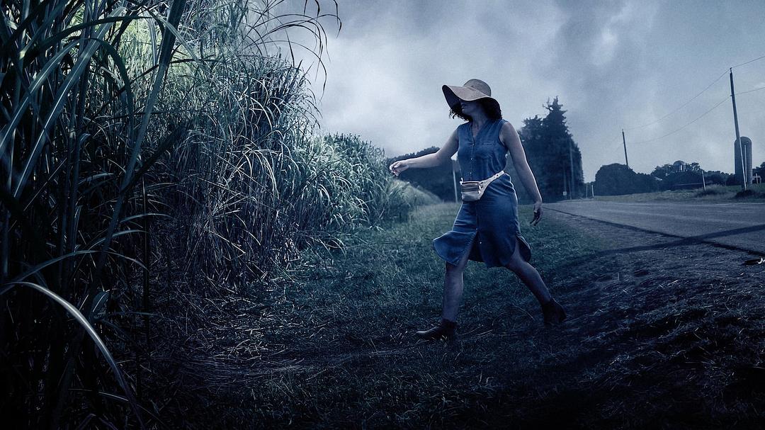 高草丛中In the Tall Grass(2019)插图2%4K电影下载_3D影视资源_杜比视界迅雷下载
