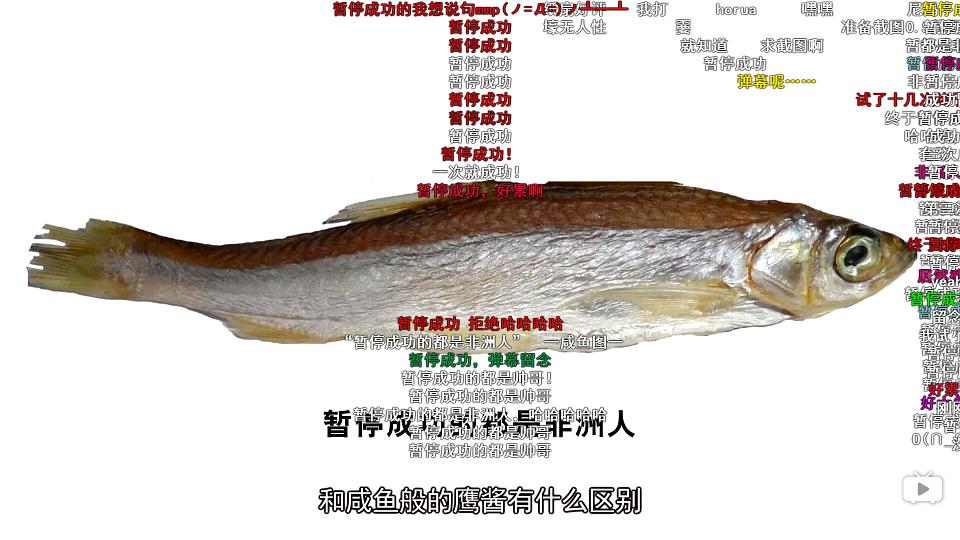那年那兔那些事Na Nian Na Tu Na Xie Shi(2015 – 2019)插图1%4K电影下载_3D影视资源_杜比视界迅雷下载