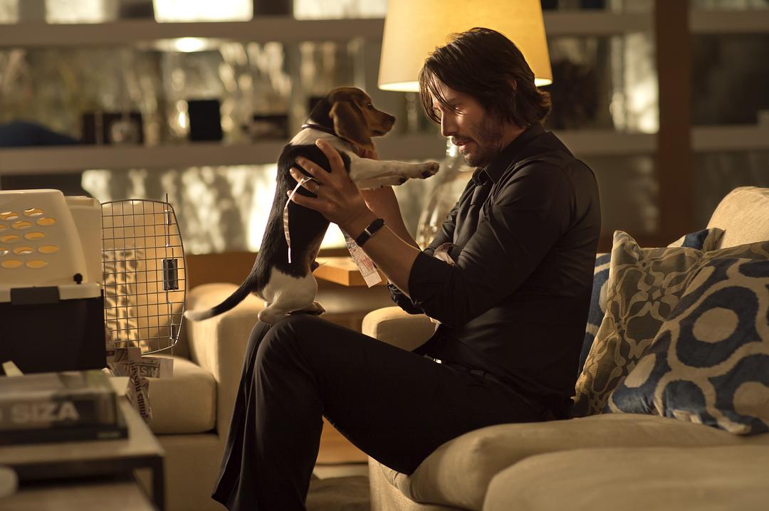 疾速追杀John Wick(2014)插图2%4K电影下载_3D影视资源_杜比视界迅雷下载