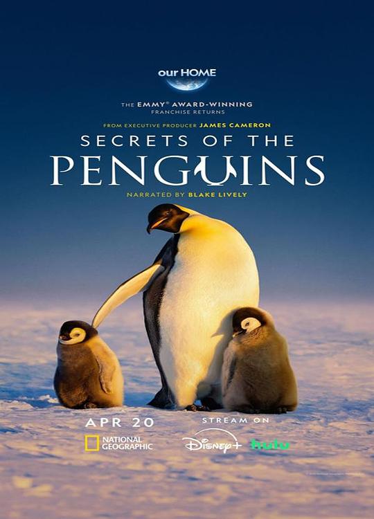 企鹅之谜Secrets of the Penguins(2025)插图%4K电影下载_3D影视资源_杜比视界迅雷下载