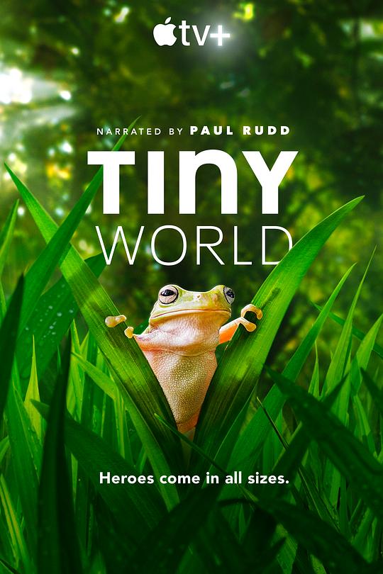 小小世界Tiny World(2020 – 2021)插图%4K电影下载_3D影视资源_杜比视界迅雷下载