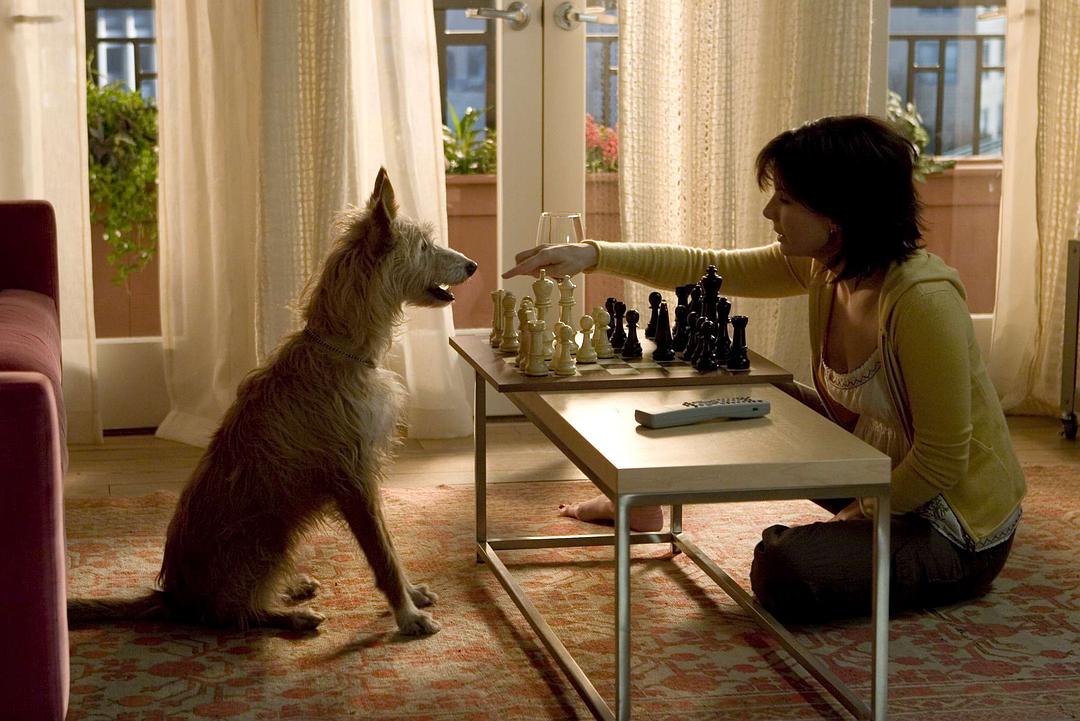 触不到的恋人The Lake House(2006)插图1%4K电影下载_3D影视资源_杜比视界迅雷下载