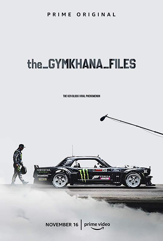 The Gymkhana Files(2018)插图%4K电影下载_3D影视资源_杜比视界迅雷下载