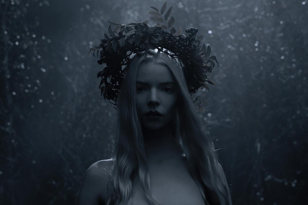 北欧人The Northman(2022)插图1%4K电影下载_3D影视资源_杜比视界迅雷下载