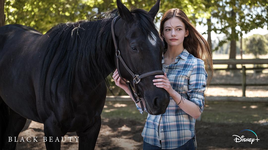 黑神驹Black Beauty(2020)插图1%4K电影下载_3D影视资源_杜比视界迅雷下载