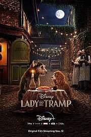 小姐与流浪汉Lady and the Tramp(2019)插图%4K电影下载_3D影视资源_杜比视界迅雷下载