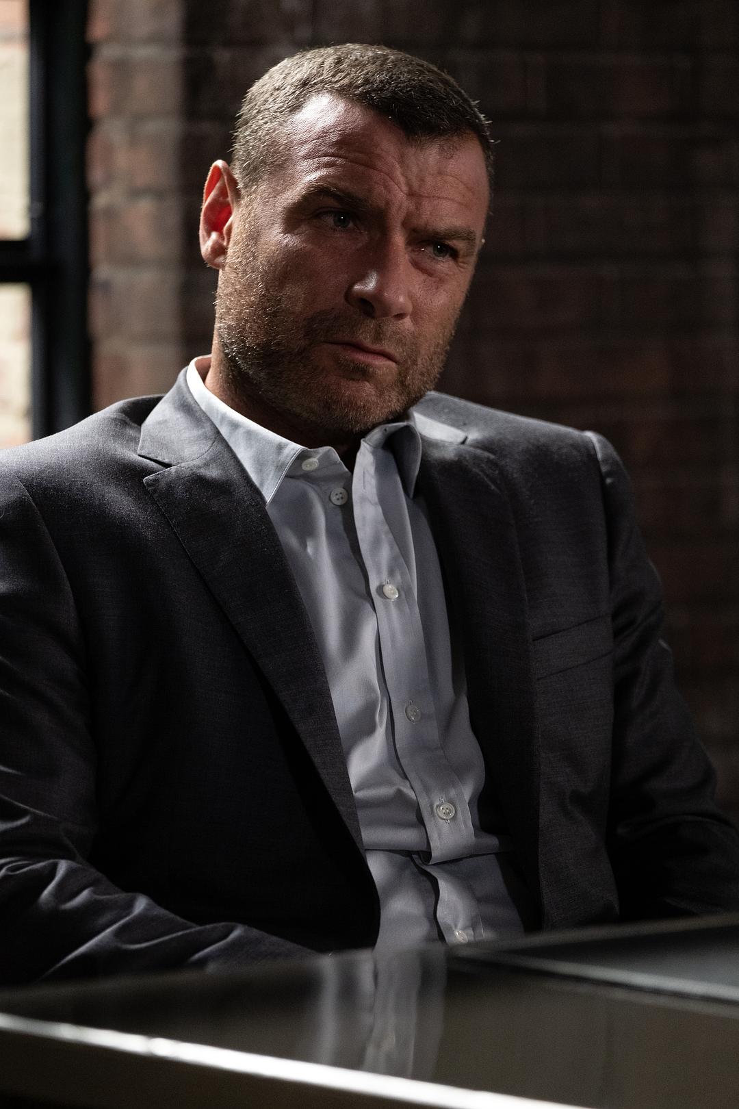清道夫Ray Donovan(2013 – 2019)插图1%4K电影下载_3D影视资源_杜比视界迅雷下载