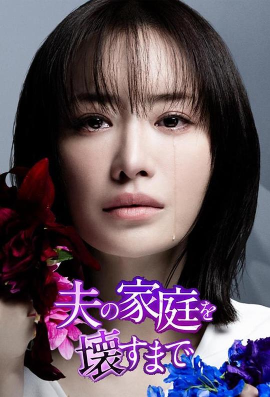直到破坏了丈夫的家庭夫の家庭を壊すまで(2024)插图%4K电影下载_3D影视资源_杜比视界迅雷下载