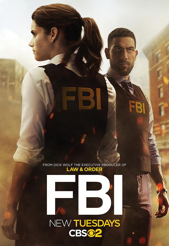 联邦调查局FBI(2018 – 2025)插图%4K电影下载_3D影视资源_杜比视界迅雷下载