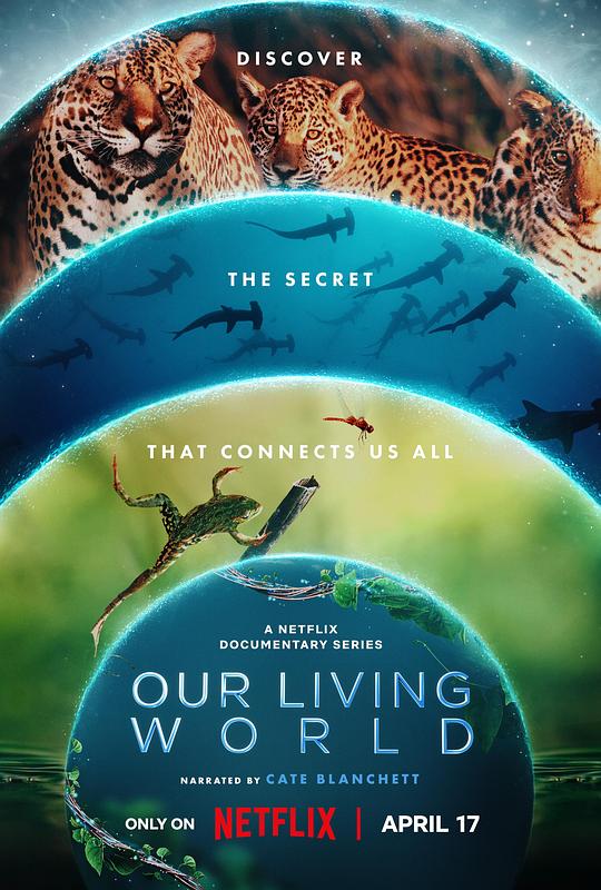 我们的生物世界Our Living World(2024)插图%4K电影下载_3D影视资源_杜比视界迅雷下载