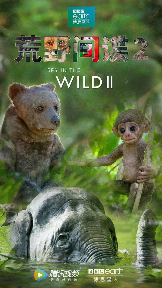 荒野间谍Spy in the Wild(2017 – 2020)插图%4K电影下载_3D影视资源_杜比视界迅雷下载