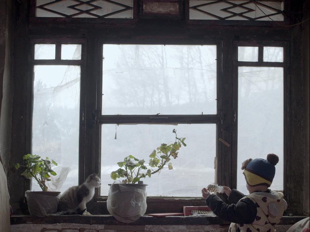 北方一片苍茫The Widowed Witch(2017)插图1%4K电影下载_3D影视资源_杜比视界迅雷下载