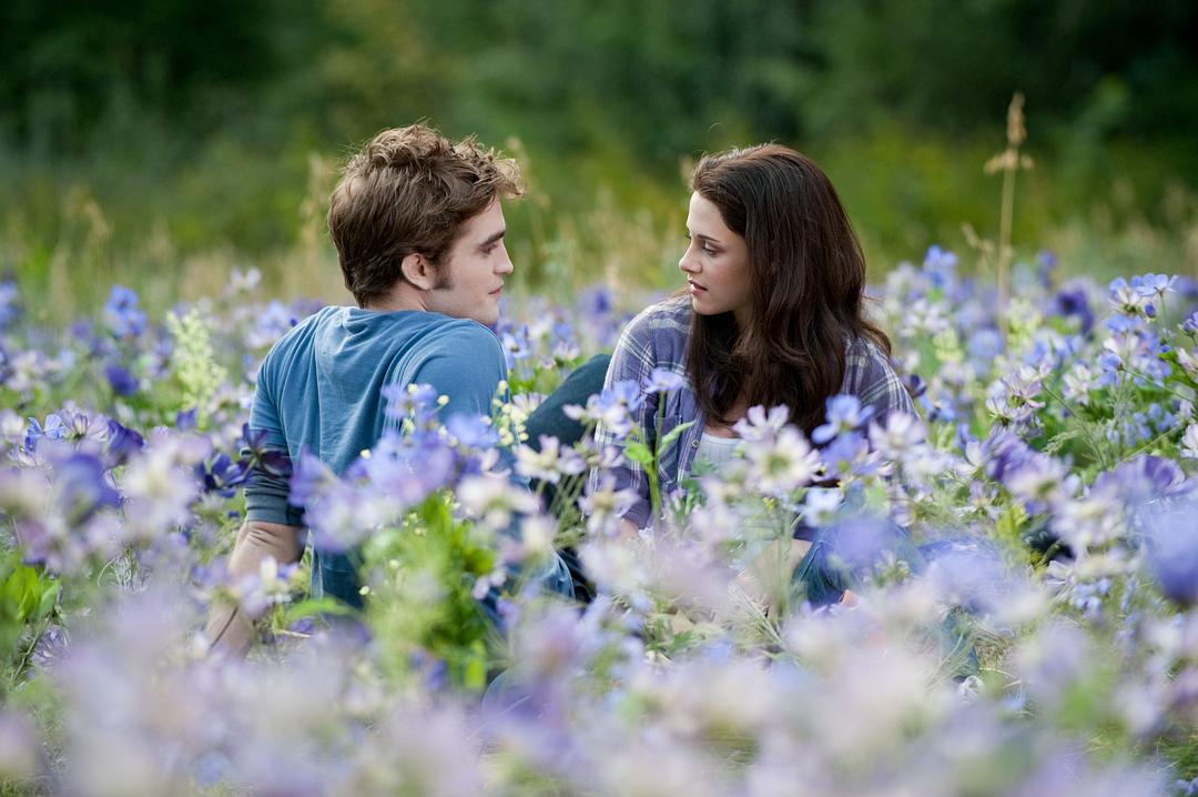 暮光之城3：月食The Twilight Saga: Eclipse(2010)插图1%4K电影下载_3D影视资源_杜比视界迅雷下载