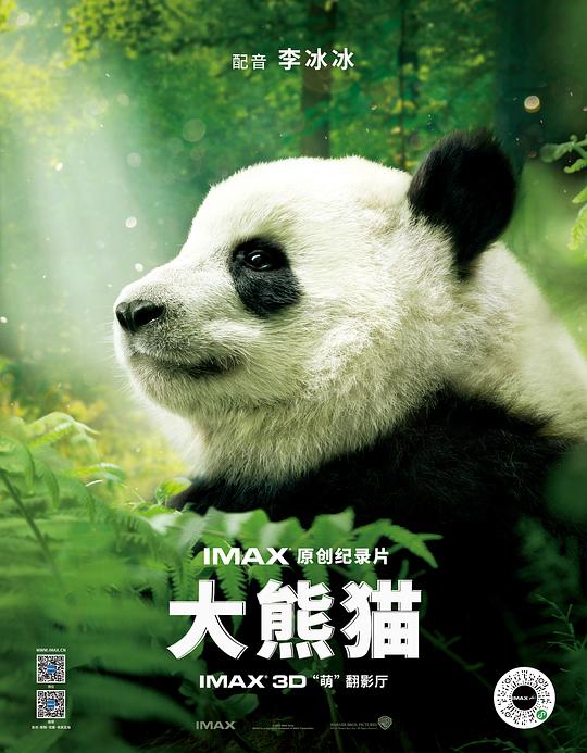 大熊猫Pandas(2018)插图%4K电影下载_3D影视资源_杜比视界迅雷下载