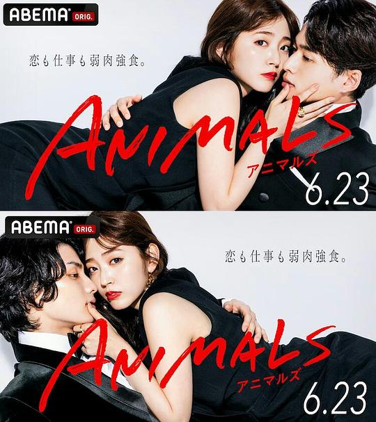 ANIMALS‐アニマルズ‐(2022)插图%4K电影下载_3D影视资源_杜比视界迅雷下载