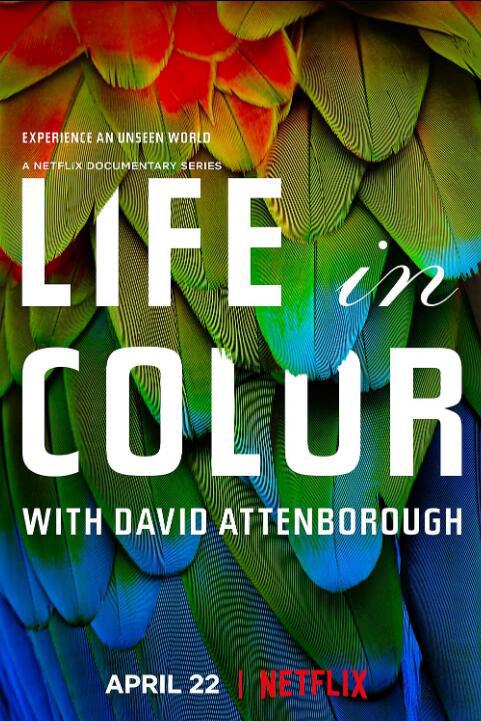 生命之色Life in Colour(2021)插图%4K电影下载_3D影视资源_杜比视界迅雷下载