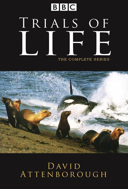 生命之源The Trials of Life(1990)插图%4K电影下载_3D影视资源_杜比视界迅雷下载