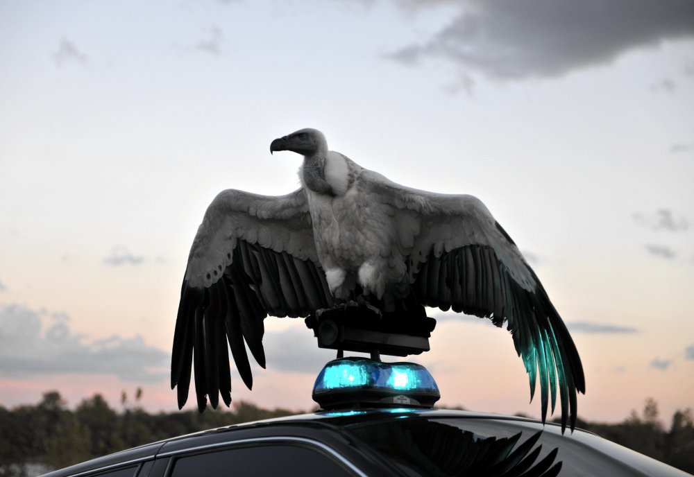 重生之河River of Fundament(2014)插图1%4K电影下载_3D影视资源_杜比视界迅雷下载