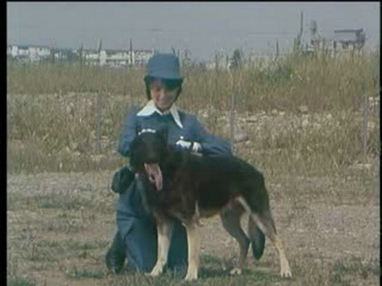 警犬卡尔Keiji ken karu(1977)插图1%4K电影下载_3D影视资源_杜比视界迅雷下载
