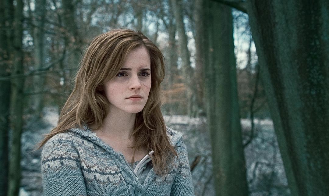 哈利·波特与死亡圣器(上)Harry Potter and the Deathly Hallows: Part 1(2010)插图2%4K电影下载_3D影视资源_杜比视界迅雷下载