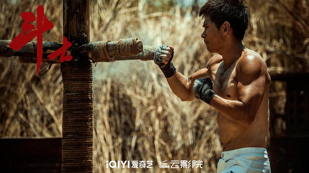 斗士Dou Shi(2022)插图1%4K电影下载_3D影视资源_杜比视界迅雷下载