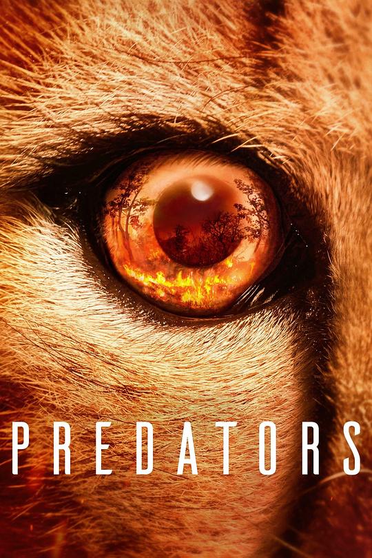 食肉动物Predators(2022)插图%4K电影下载_3D影视资源_杜比视界迅雷下载