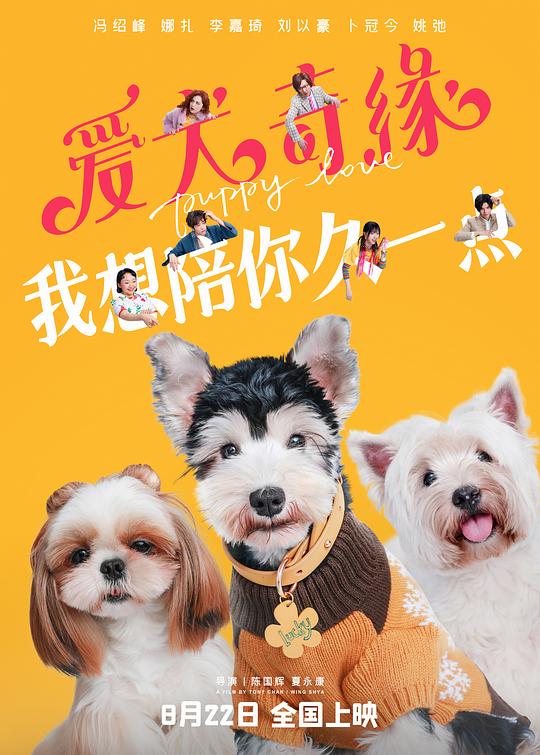 爱犬奇缘Ai quan qi yuan(2023)插图%4K电影下载_3D影视资源_杜比视界迅雷下载