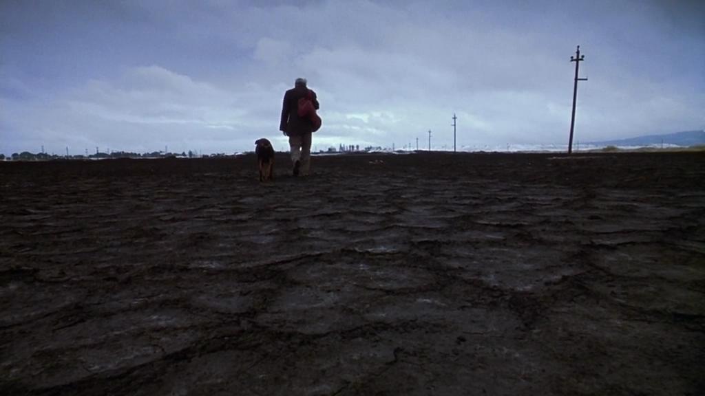 爱情是狗娘Amores perros(2000)插图2%4K电影下载_3D影视资源_杜比视界迅雷下载