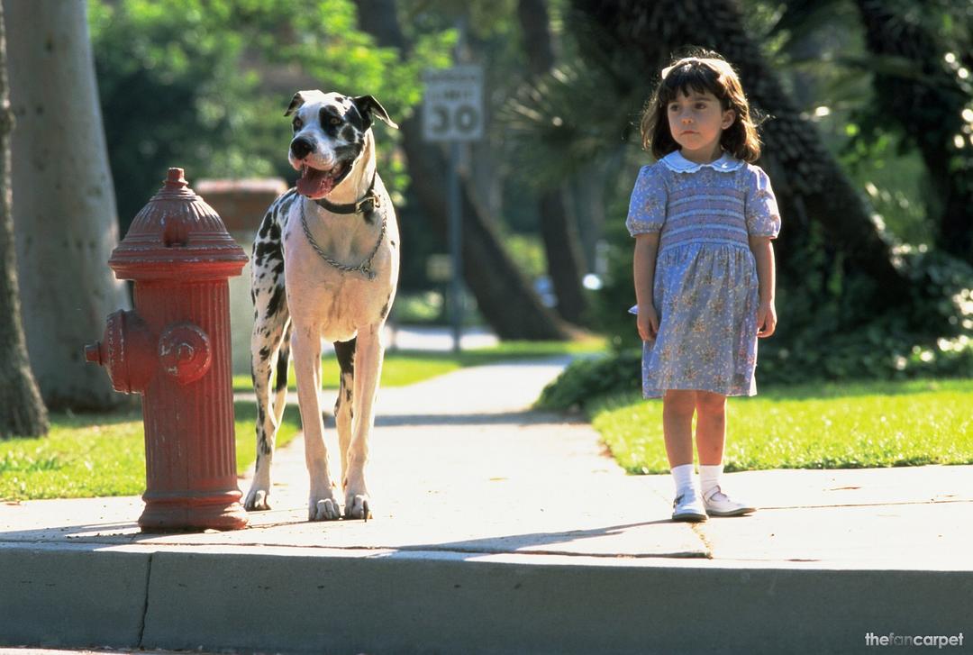 玛蒂尔达Matilda(1996)插图2%4K电影下载_3D影视资源_杜比视界迅雷下载