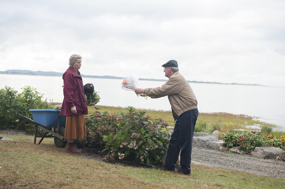 奥丽芙·基特里奇Olive Kitteridge(2014)插图1%4K电影下载_3D影视资源_杜比视界迅雷下载