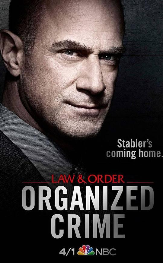 法律与秩序：组织犯罪Law & Order: Organized Crime(2021 – 2025)插图%4K电影下载_3D影视资源_杜比视界迅雷下载