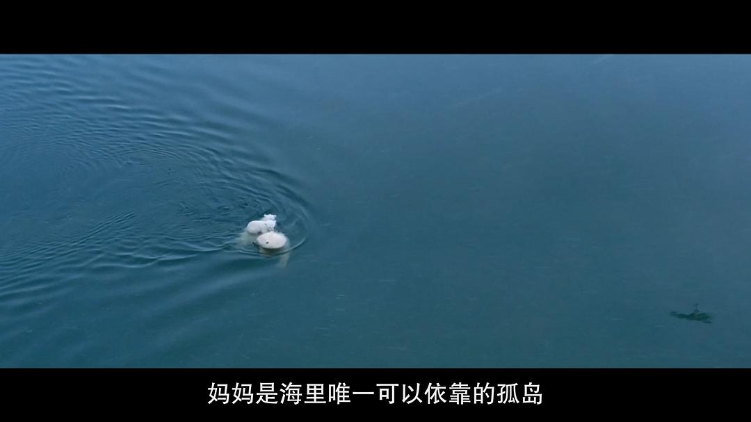 北极熊Polar Bear(2022)插图1%4K电影下载_3D影视资源_杜比视界迅雷下载
